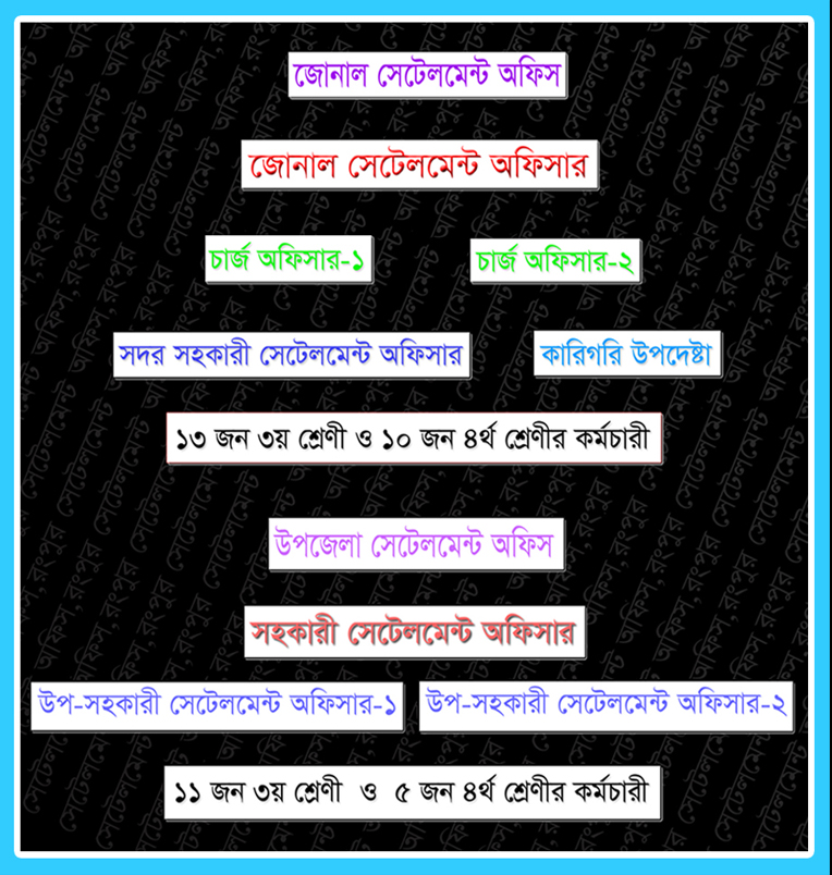 সাংগঠনিক কাঠামো